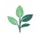 Logo of funeralspeech.net