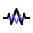 Logo of Audiomatic